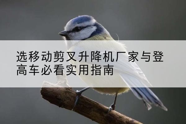 奈曼旗电动升降机厂家-选移动剪叉升降机厂家与登高车必看实用指南