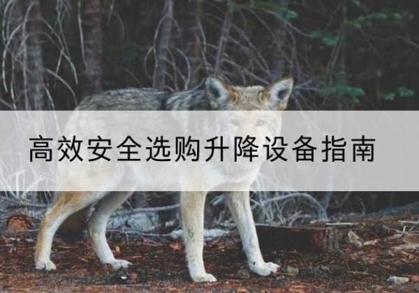 奈曼旗升降货梯厂家推荐-*安全选购升降设备指南