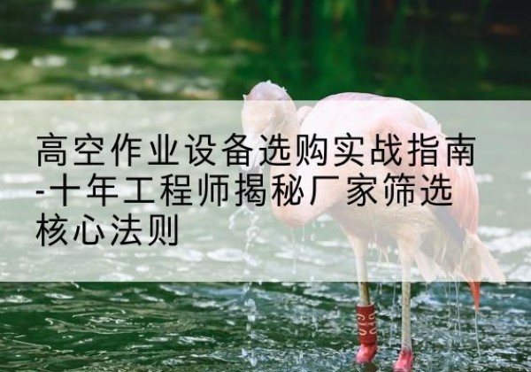 奈曼旗剪叉式升降机厂家-高空作业设备选购实战指南-十年工程师揭秘厂家筛选核心法则
